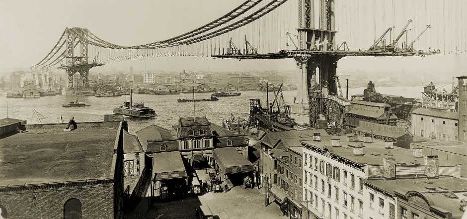 dumbo